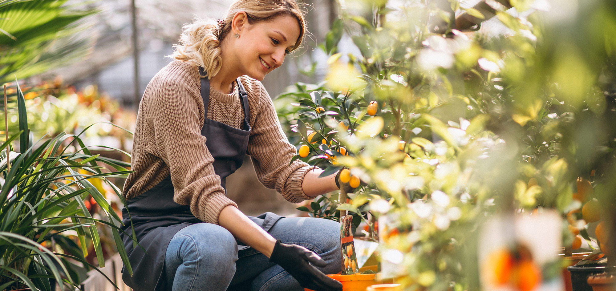 Médaillée au Concours Agricoles